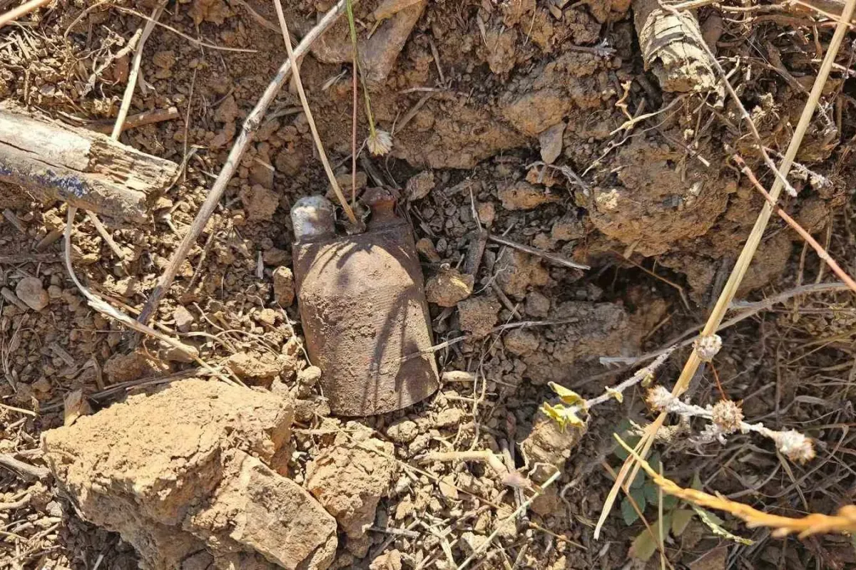 Bursa’da kurtuluş savaşından kalma el bombaları bulundu