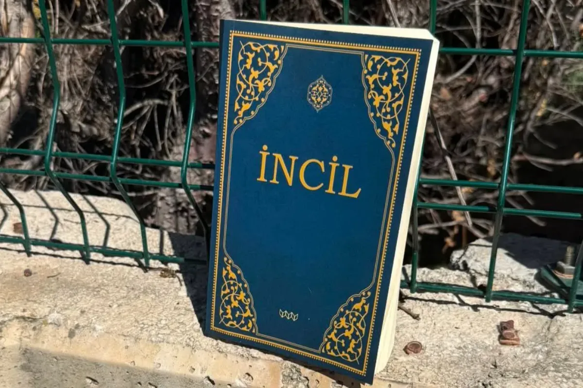 İnegöl'de Kültürpark'ta görüldü! Gören bir daha baktı
