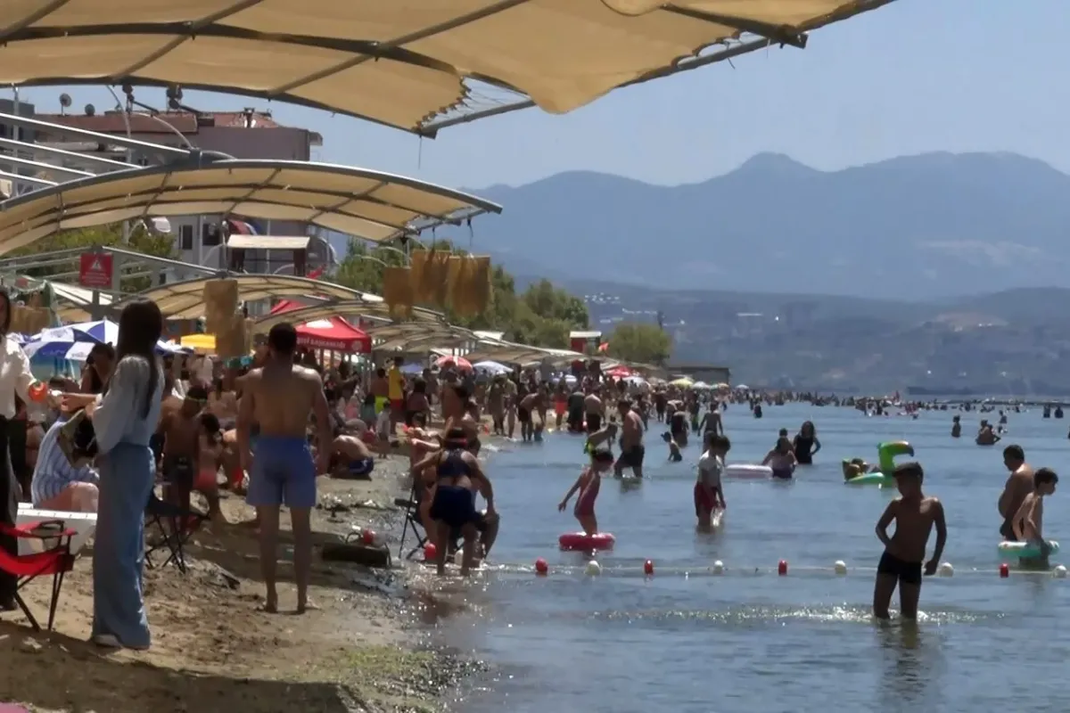 Deniz sezonunun bitmesine yakın Bursa’nın sahillerinden sevindiren haber