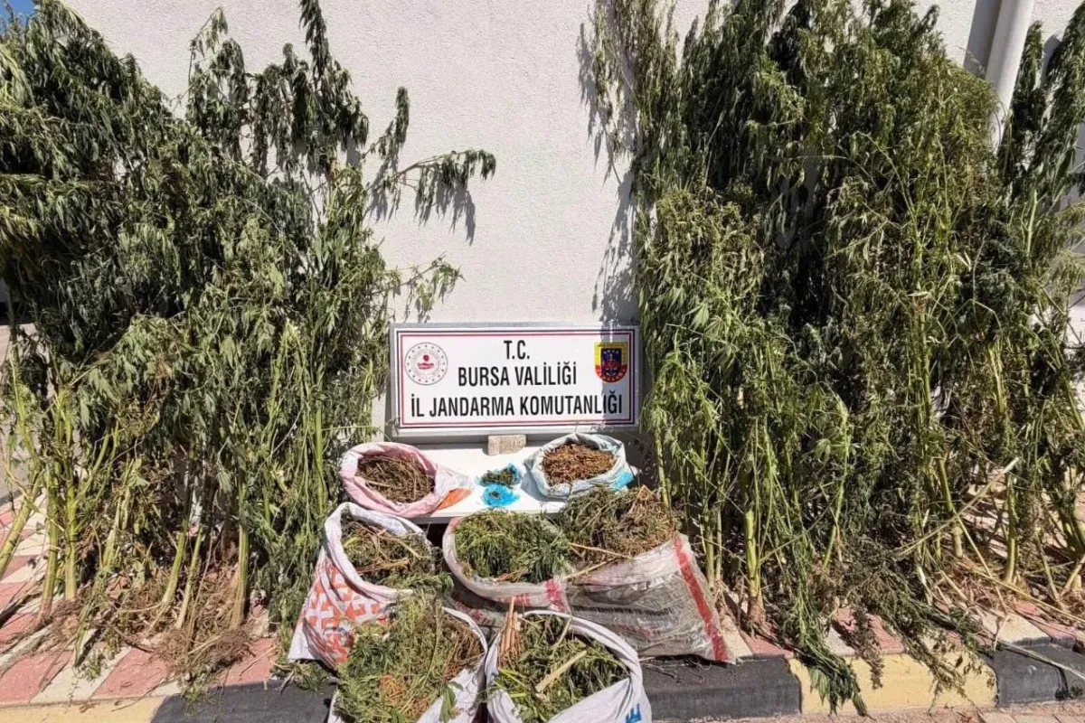 Bursa’da uyuşturucu operasyonu: 22 kilo 675 gram esrar ele geçirildi