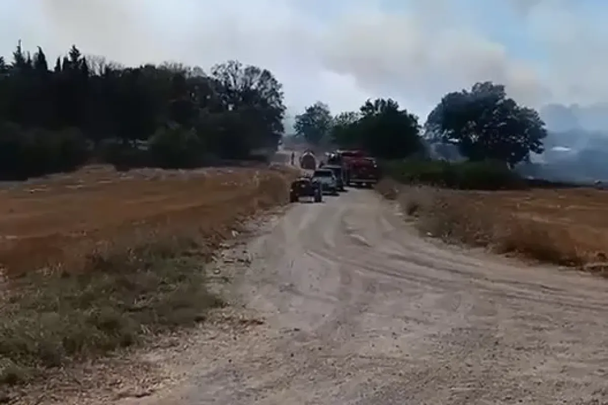 Arazide çıkan yangın, ekiplerin hızlı müdahalesiyle söndürüldü
