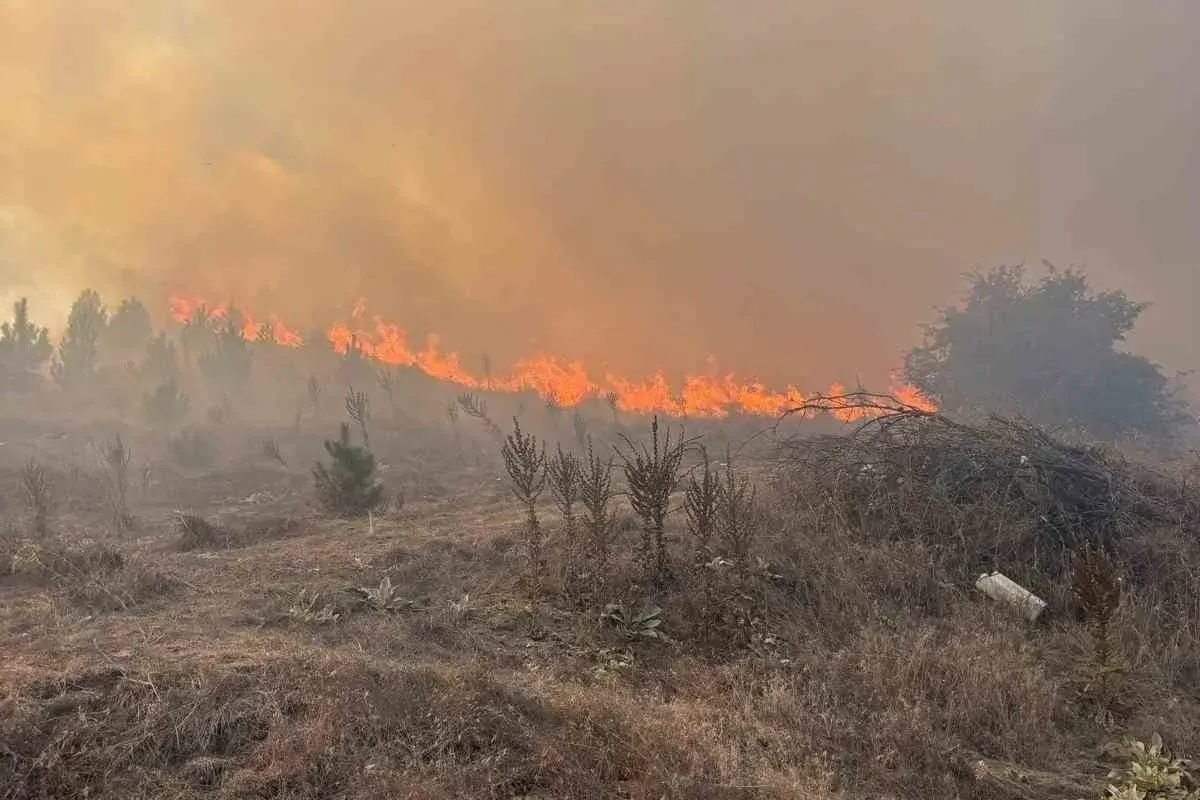 İnegöl'ün dibinde başlayan orman yangını her geçen saat büyüyor