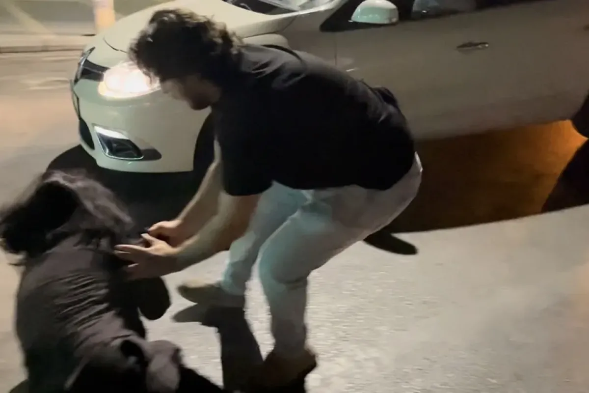 Ters yola girip gazeteci ve polislere hakaret eden şahıslar adliyeye sevk edildi
