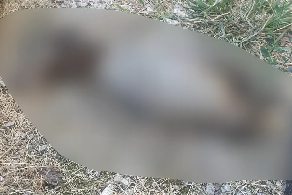 İnegöl’de Dehşete Düşüren Olay! Bahçede Bulundu