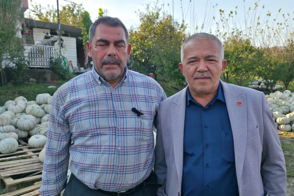 İnegöl'de çiftçi zor durumda! Hepsi ellerinde kaldı