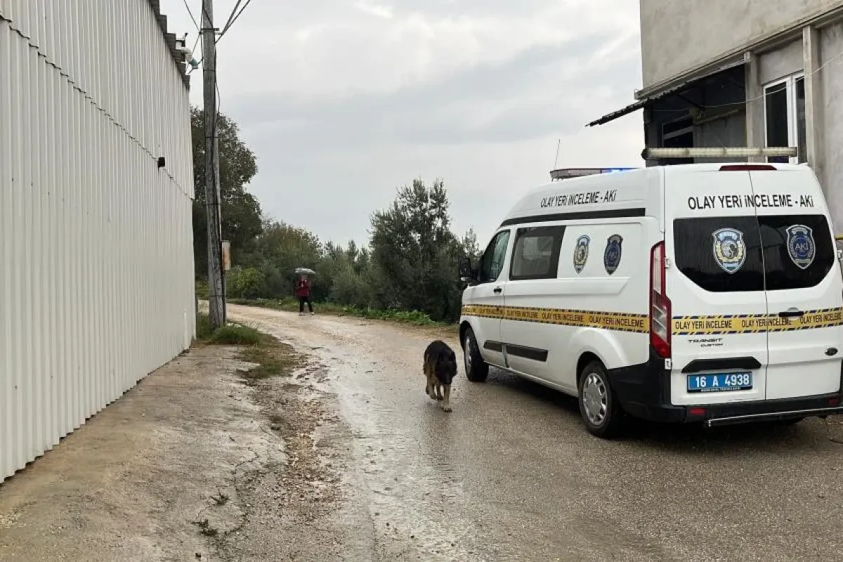 Bursa'da ATV ile tarlaya uçtu! Durumu ağır