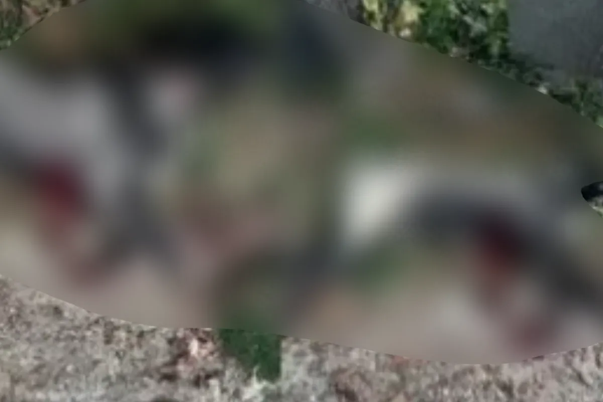 İnegöl'de kan donduran iddia! Komşusu öldürdü
