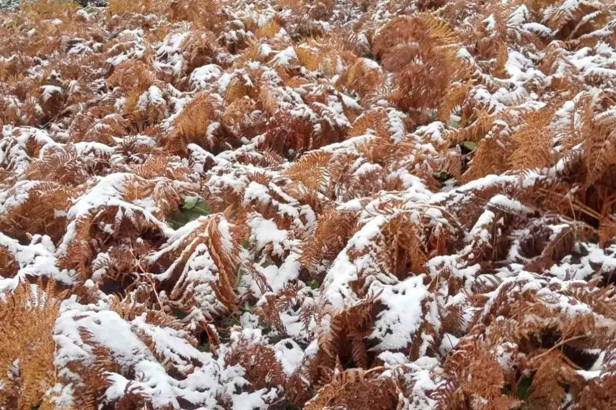 Bursa İnegöl’e mevsimin ilk karı düştü