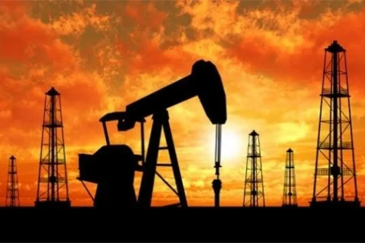 Bir ilimizde daha petrol bulundu!