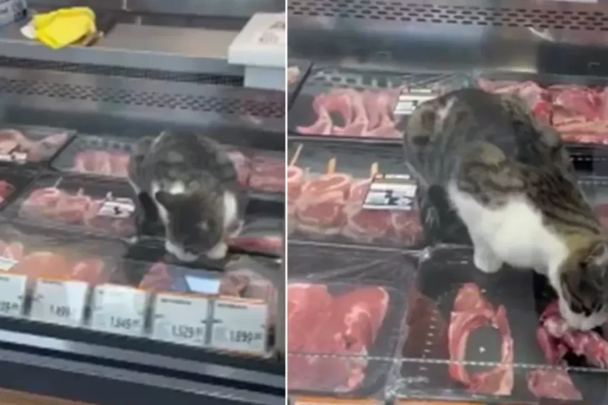 Ünlü markette olay yaratan görüntü!