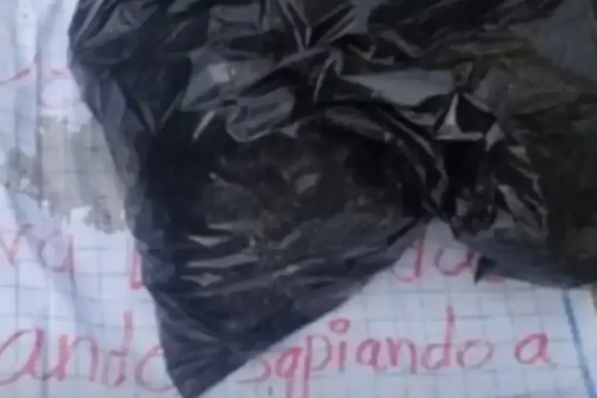 16 Yaşındaki Fenomeninin Kesik Başı Poşette Bulundu!