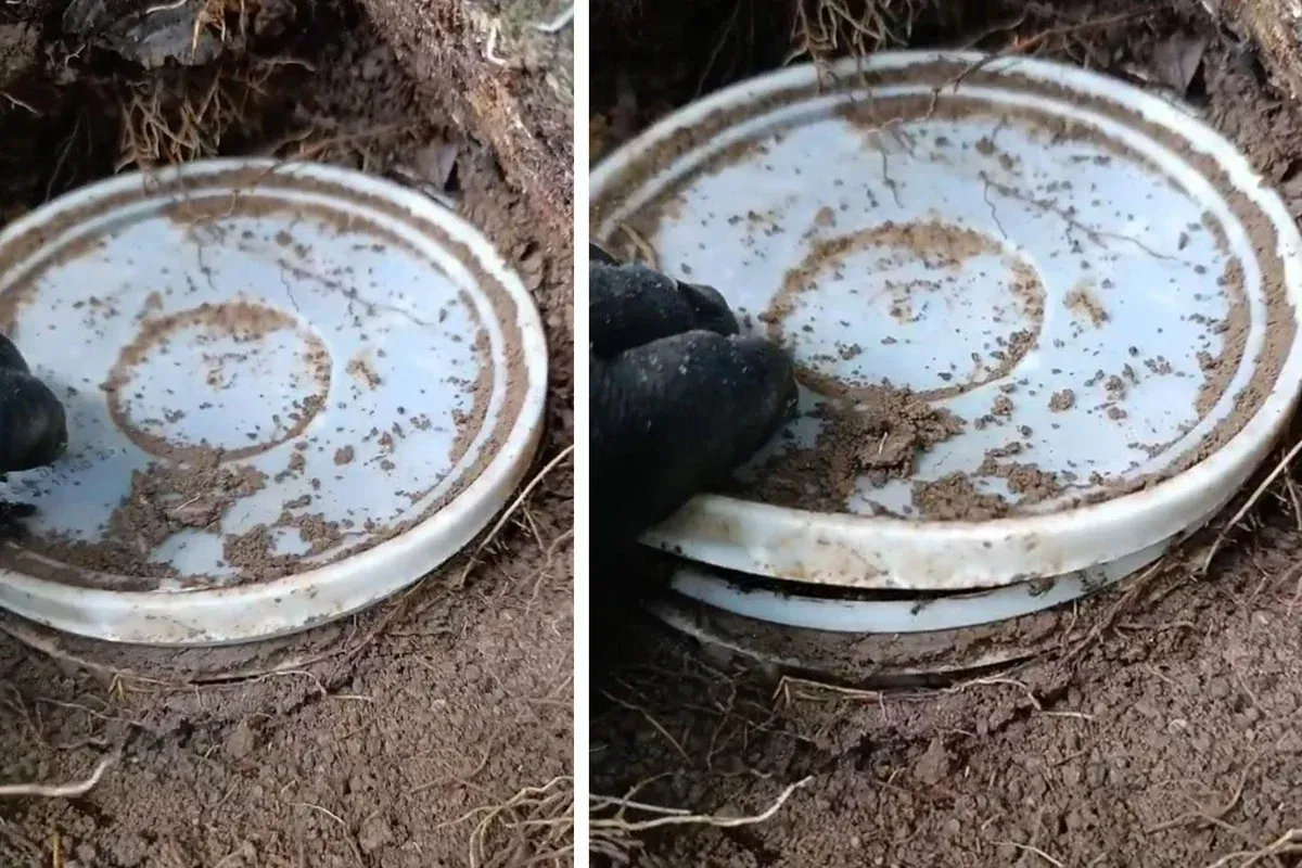 Toprağa gömülü yoğurt kabını açtı! Gördüklerine inanamadı