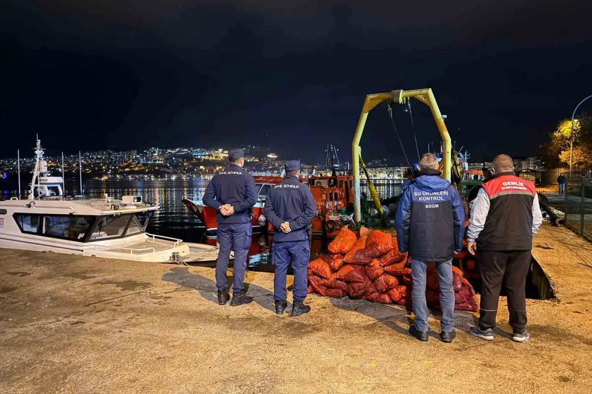 Bursa’da 350 kilo kaçak midye ele geçirildi