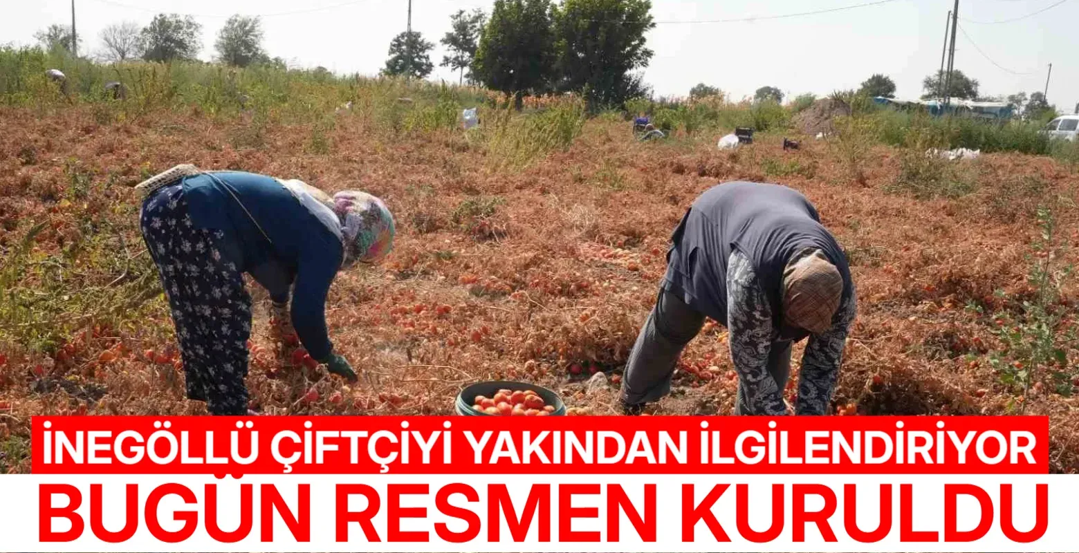 Tarım sektöründe büyük birleşme! TTGB resmen kuruldu