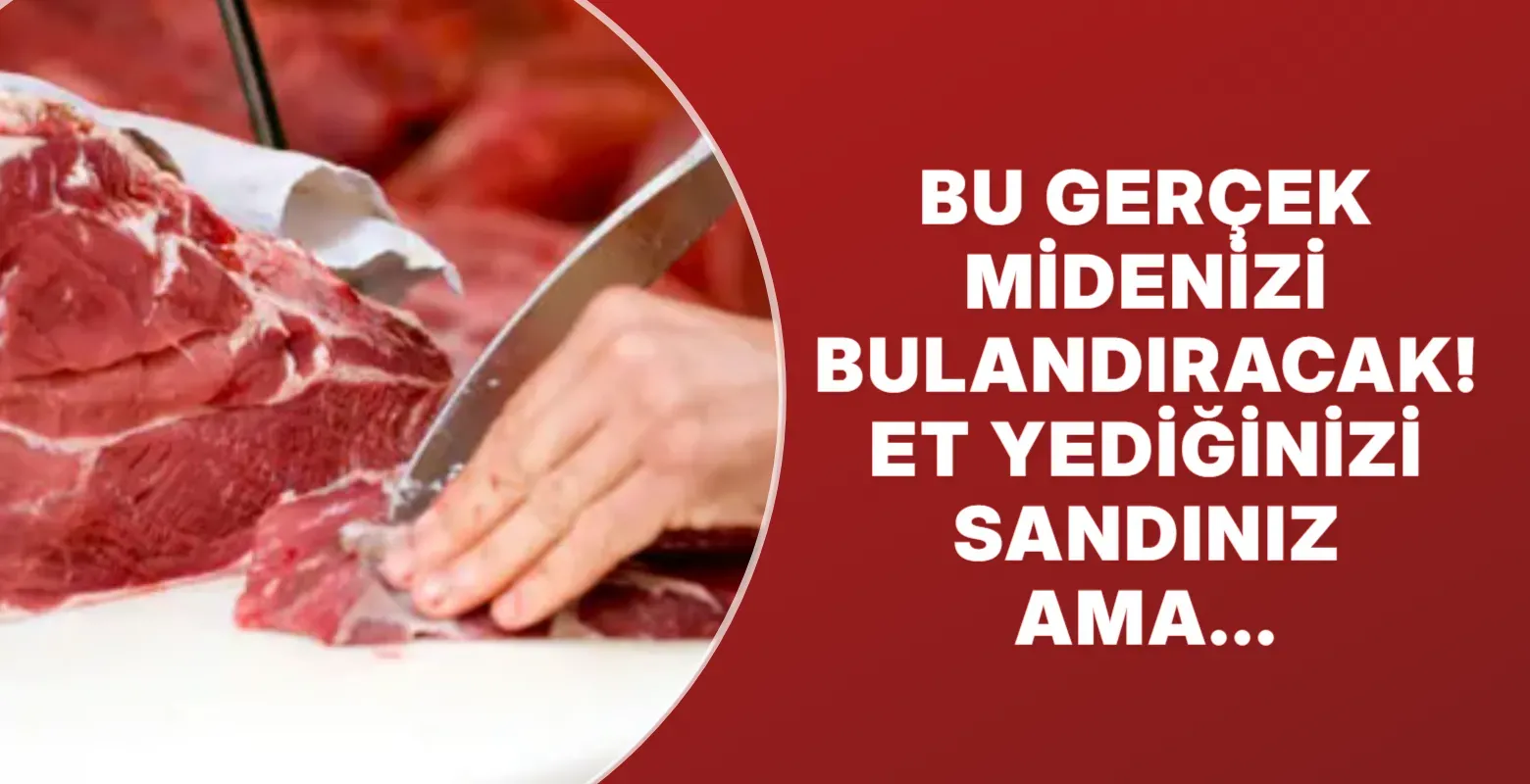 Bu gerçek midenizi bulandıracak! Et yediğinizi sandınız ama...