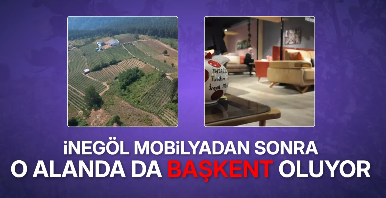 İnegöl Blueberry Üretiminde Türkiye’nin Gözdesi Oldu