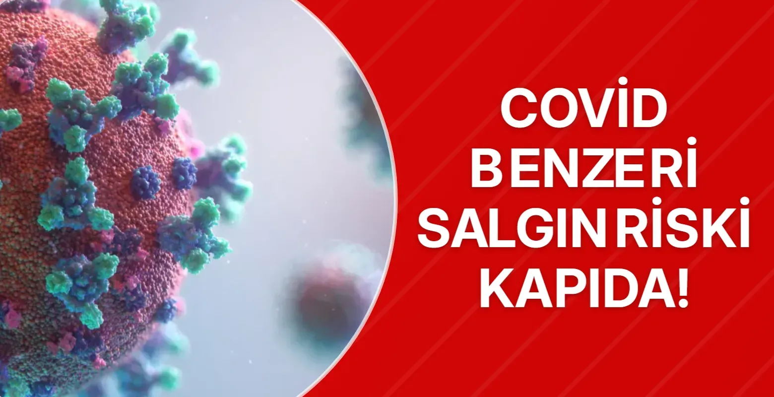 Covid benzeri salgın riski kapıda!