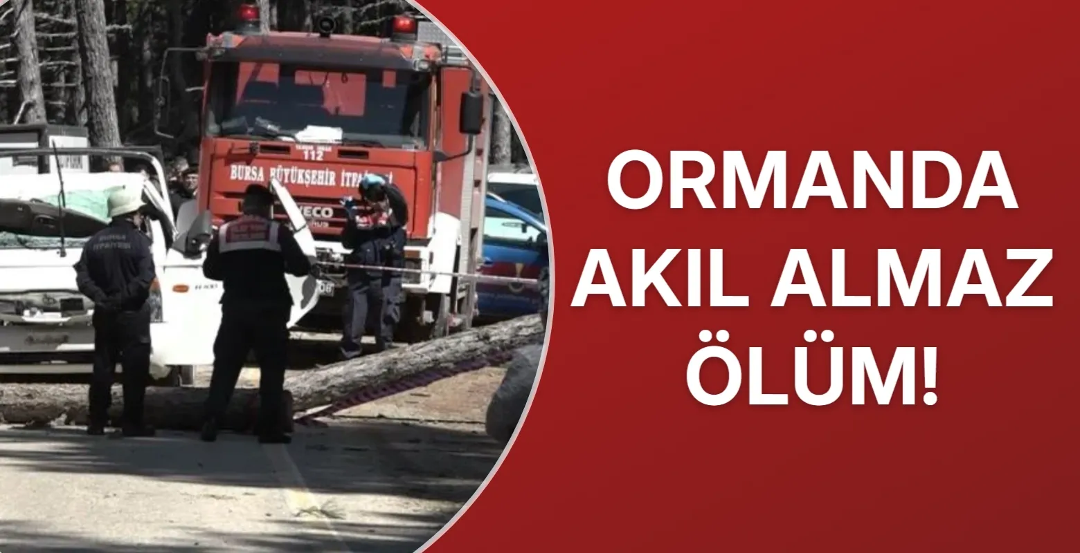 Ormanda akıl almaz ölüm