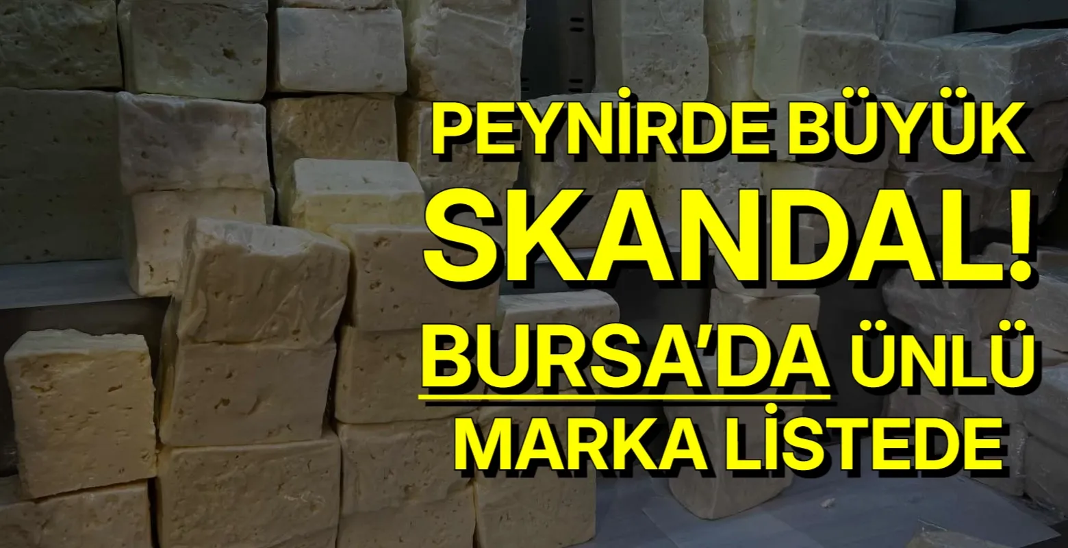 Peynirde büyük Skandal! Bursa’da ünlü marka listede