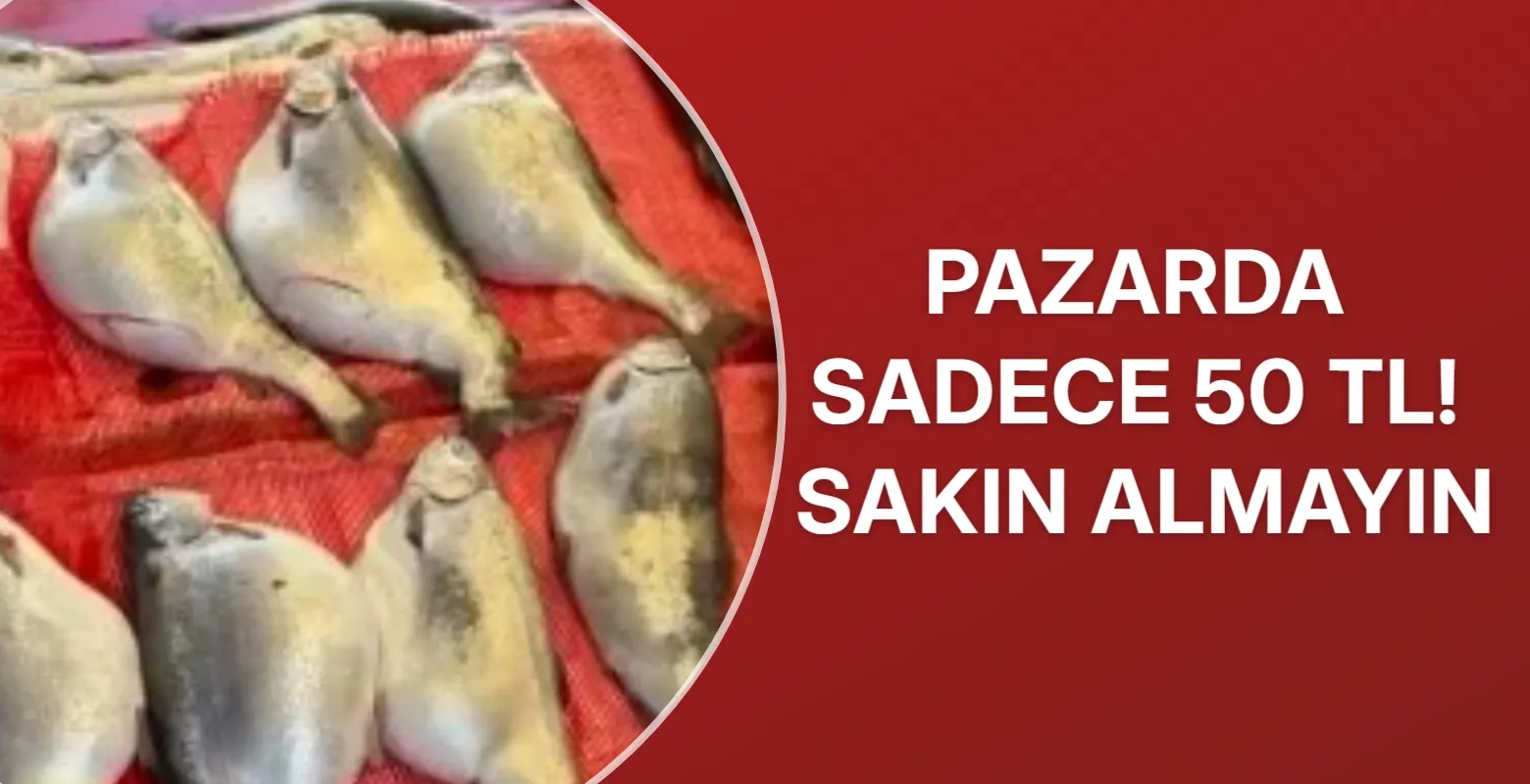 Pazarda sadece 50 TL! Sakın almayın