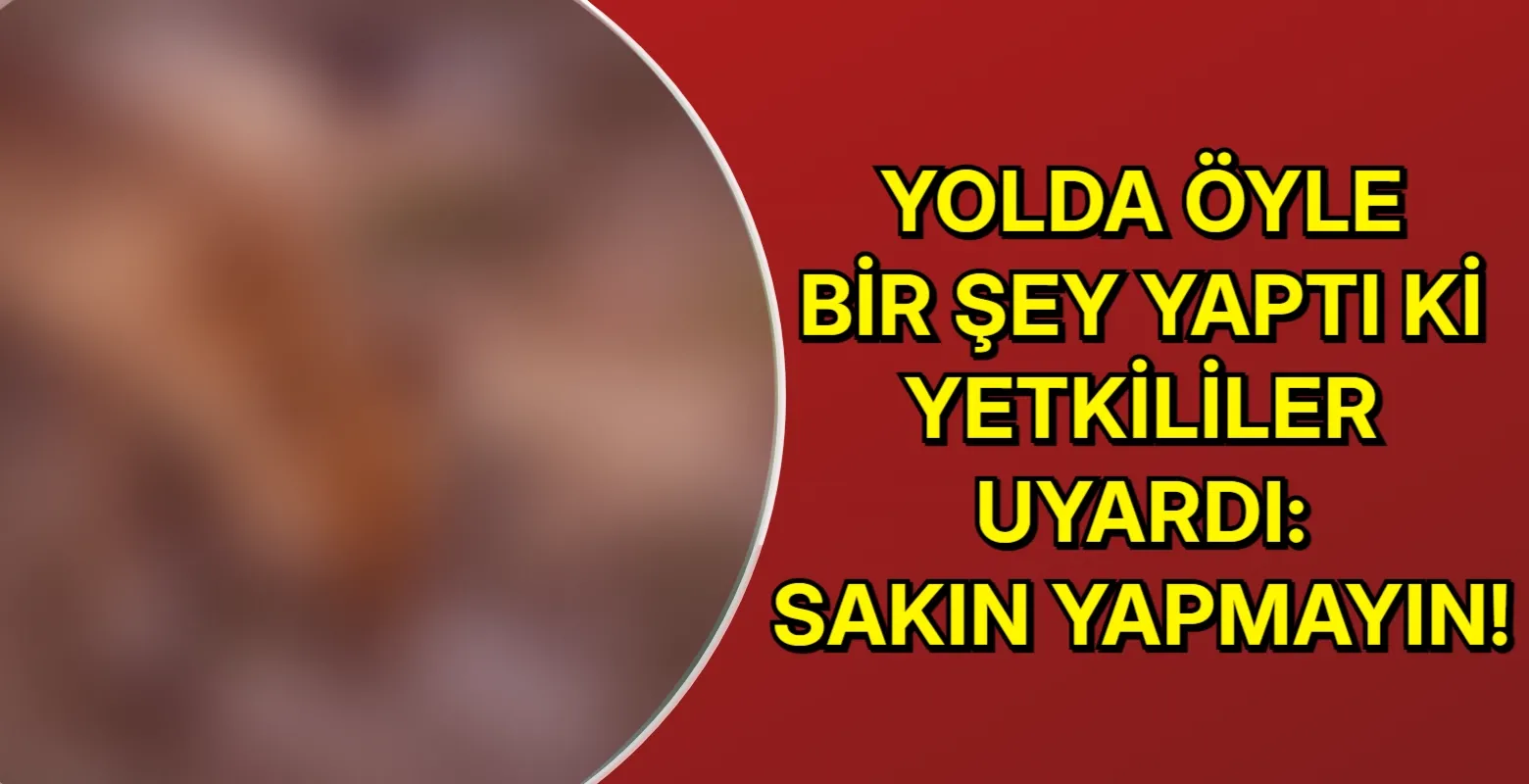 Yolda öyle yaptı ki yetkililer uyardı! Sakın yapmayın