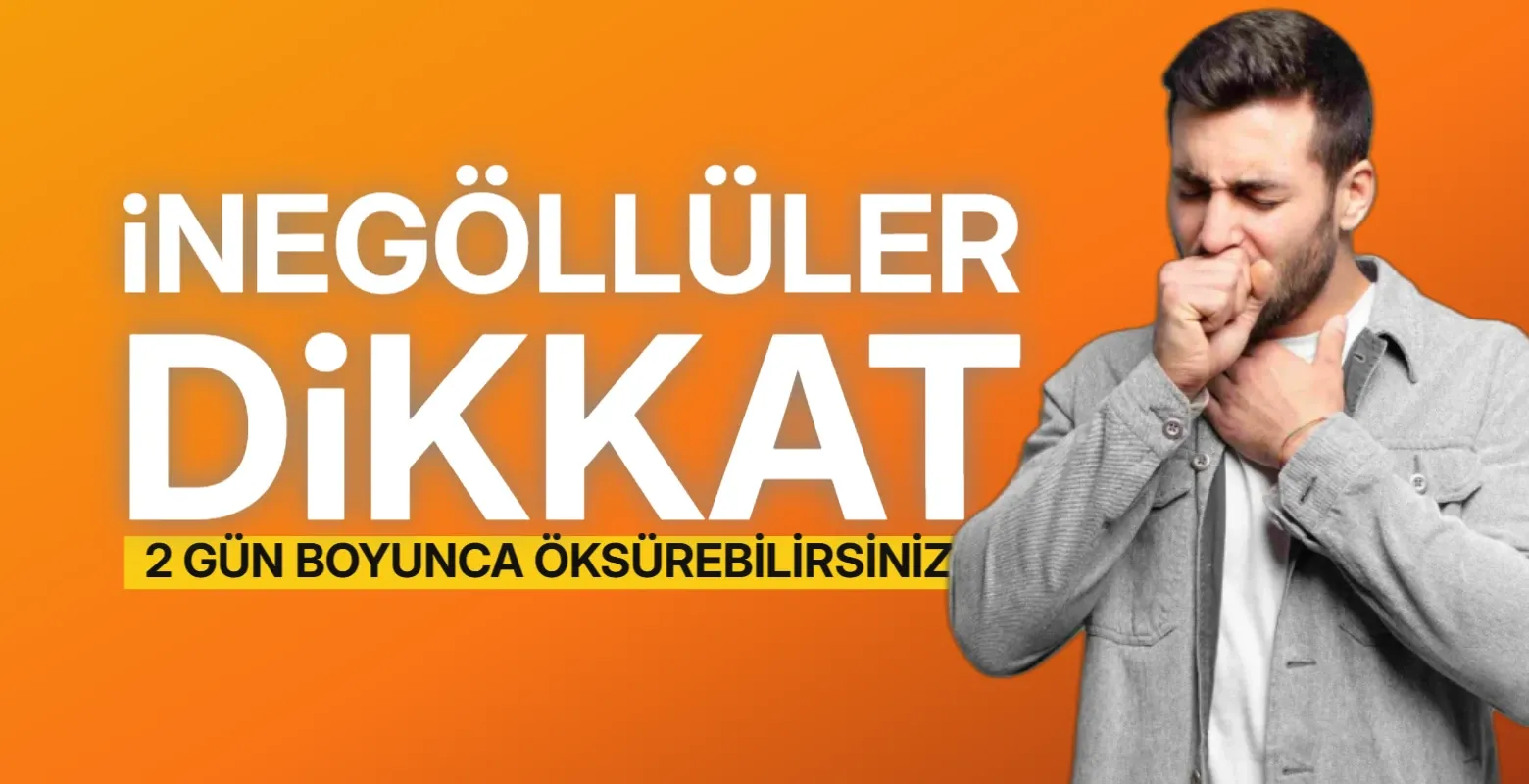 Bursa için sıcak hava ve polen uyarısı geldi