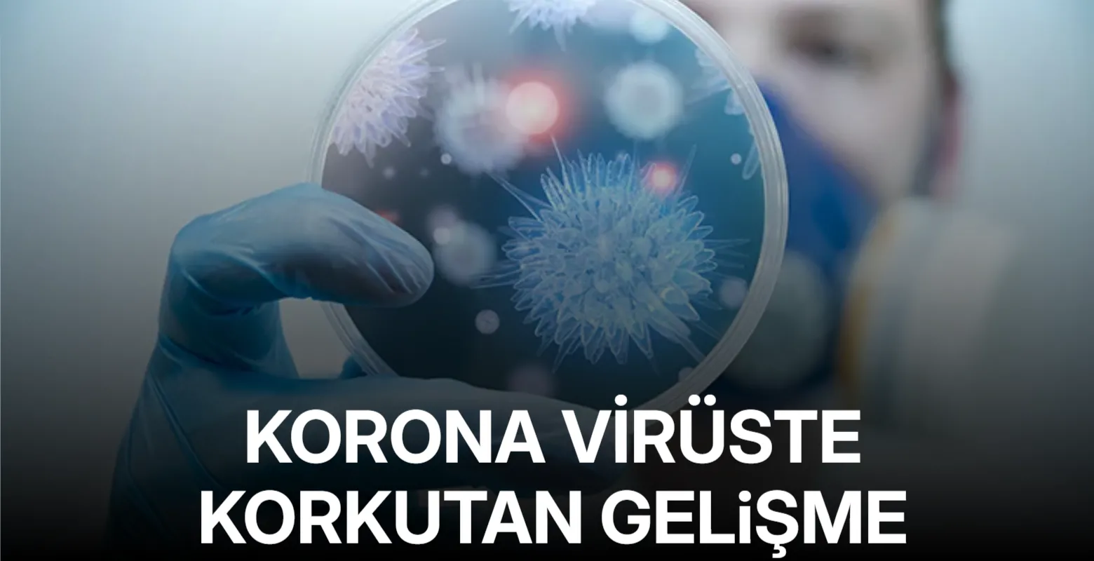Tayland’da yarasalarda yeni koronavirüs türü tespit edildi
