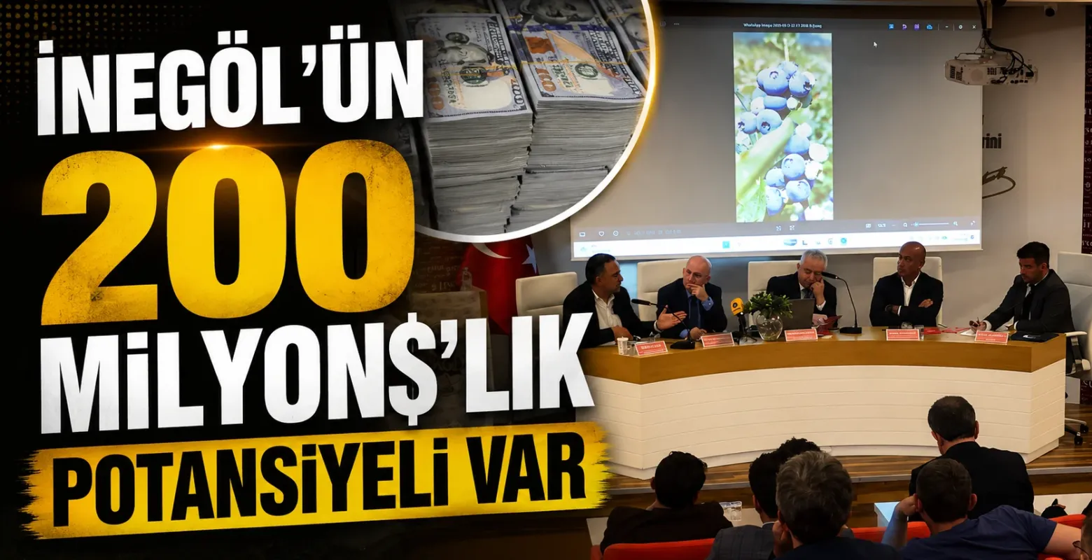 İnegöl’ün blueberry üretiminde 200 milyon dolarlık potansiyeli var