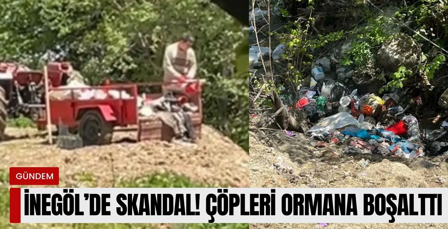 İnegöl'de skandal! Çöpleri ormana boşalttı