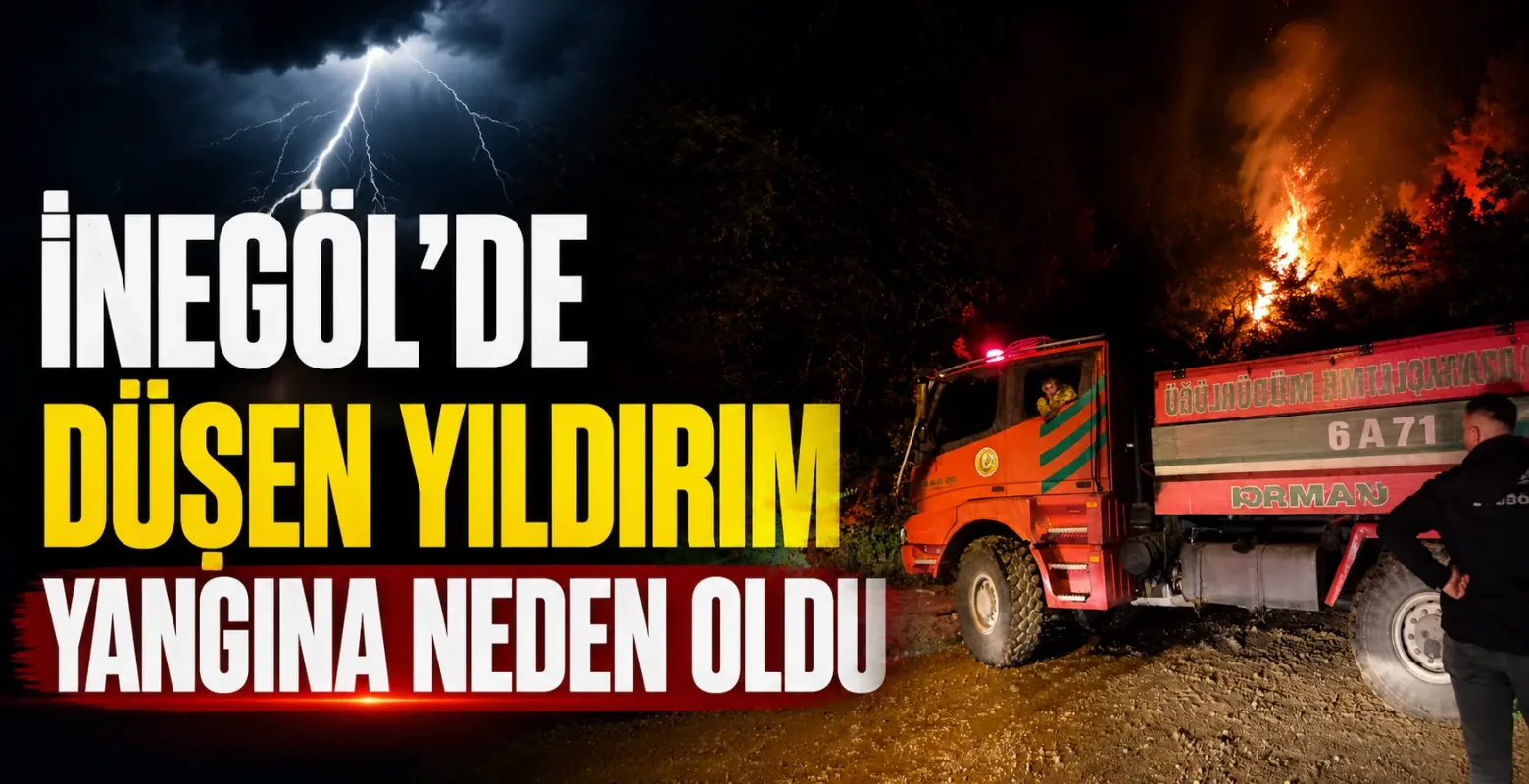 İnegöl'de düşen yıldırım yangına neden oldu