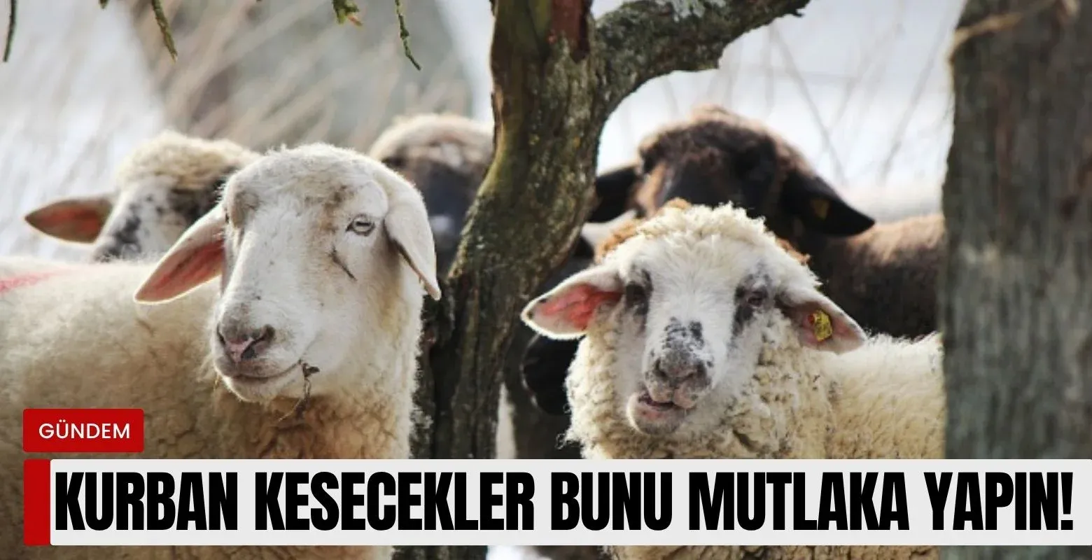 Kurban kesecekler bunu mutlaka yapın!