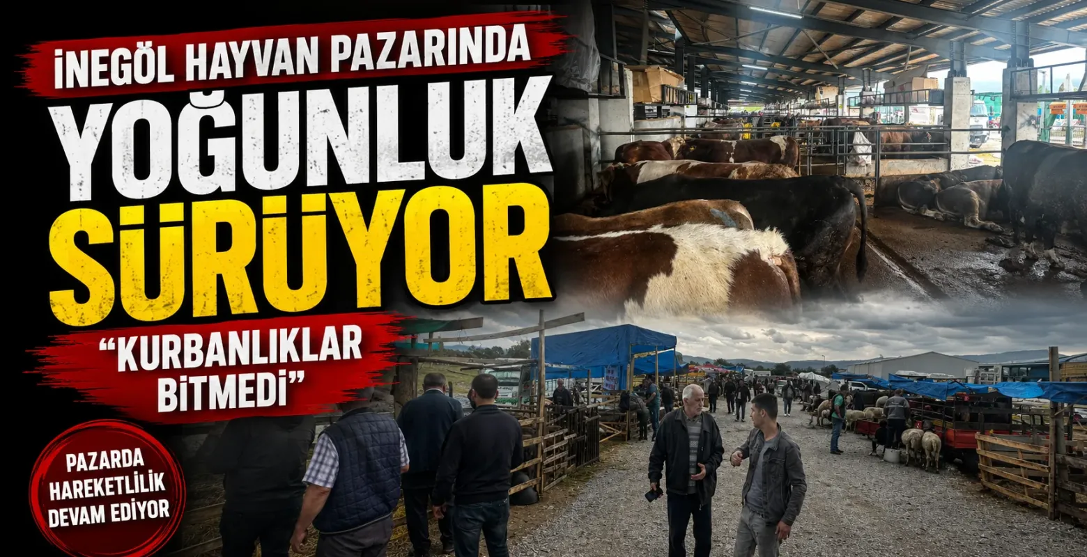 İnegöl Hayvan Pazarında Yoğunluk Sürüyor: “Kurbanlıklar Bitmedi”