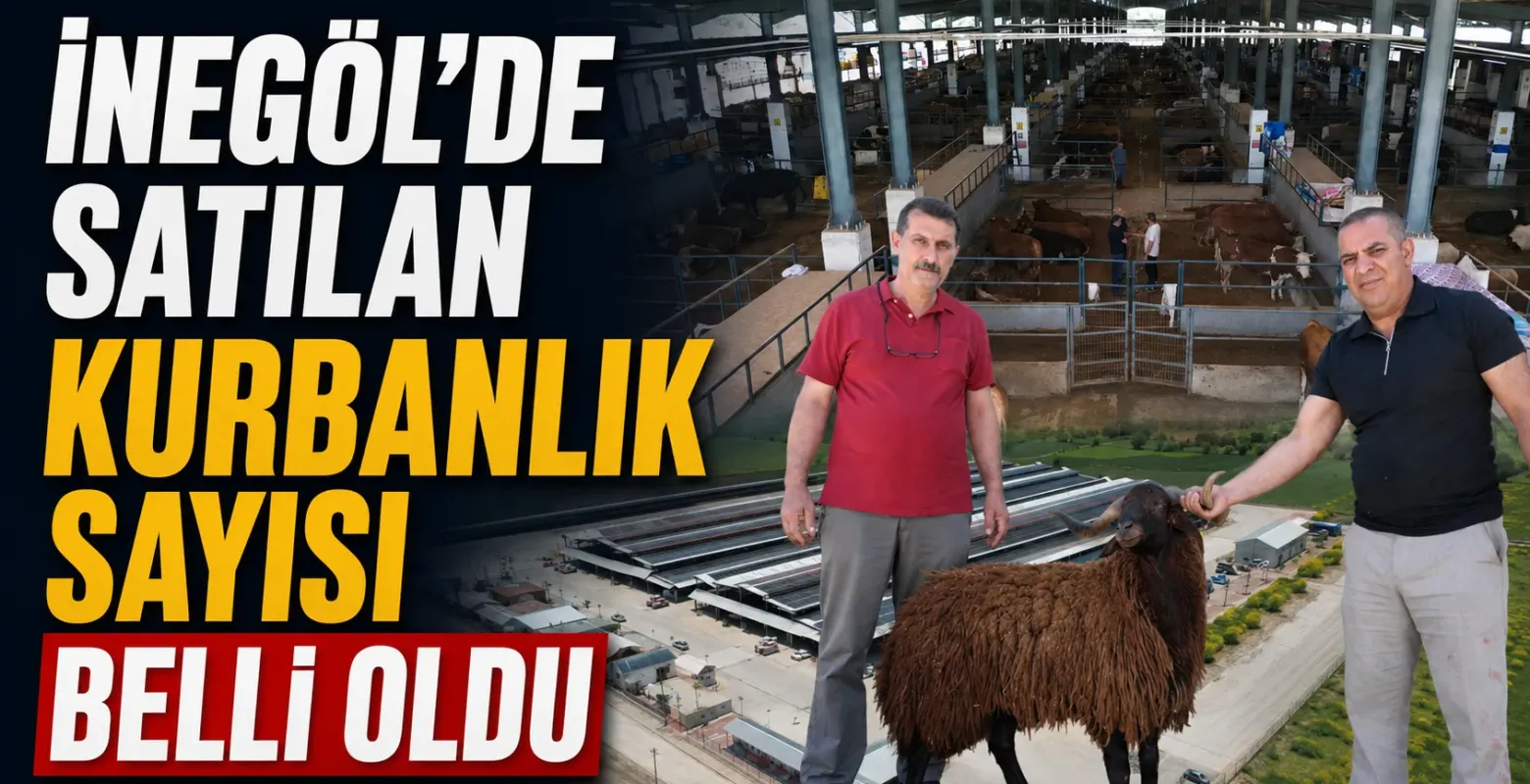 İnegöl Hayvan Pazarı’nda 4 bine yakın kurbanlık satıldı