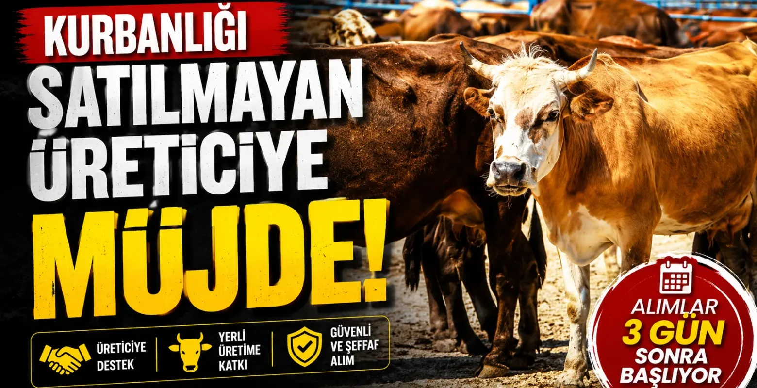 Kurbanlığı satılmayan üreticiye müjde! Alımlar 3 gün sonra başlıyor