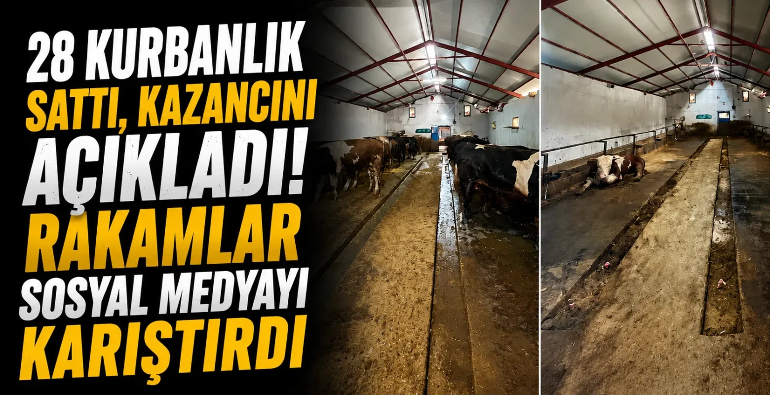 28 Kurbanlık Sattı, Kazancını Açıkladı! Rakamlar Sosyal Medyayı Karıştırdı