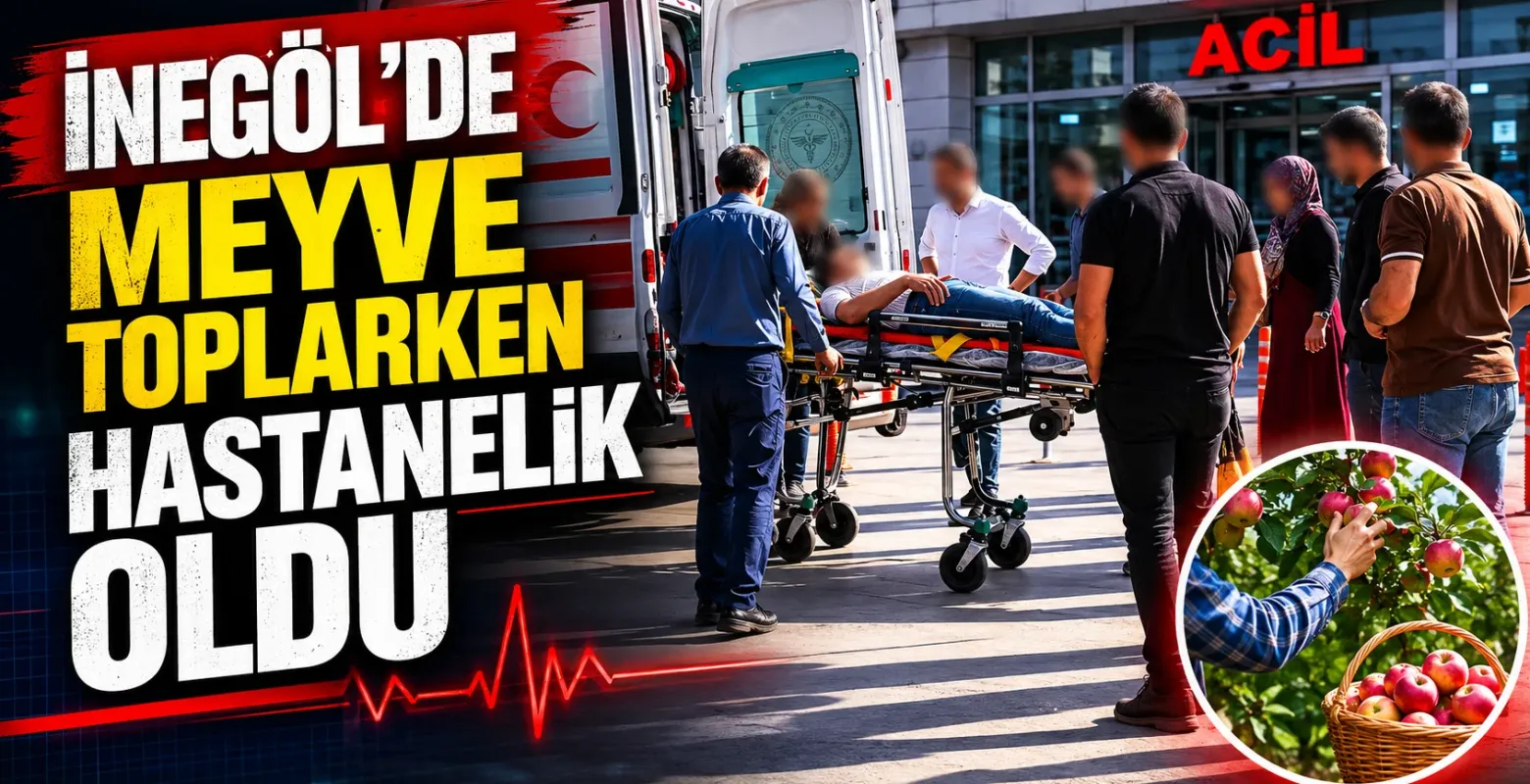 İnegöl'de meyve toplarken hastanelik oldu