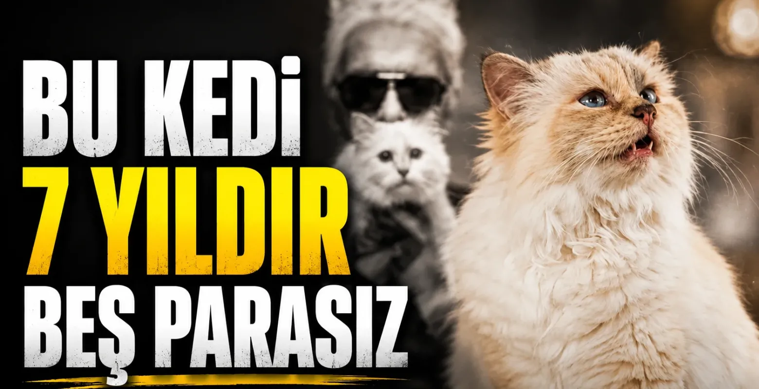 Karl Lagerfeld'in kedisi Choupette, 1,7 milyon Euro'luk mirasa ulaşamadı