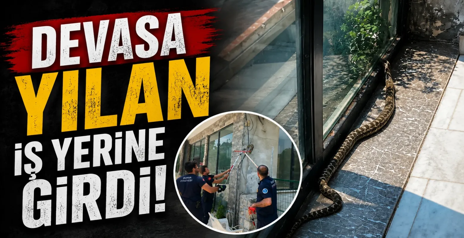 Devasa yılan iş yerine girdi!