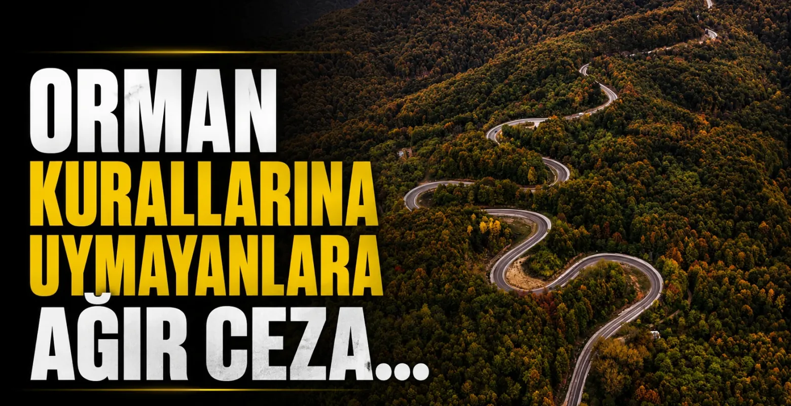Bursa’da orman kurallarına uymayanlara ağır ceza...