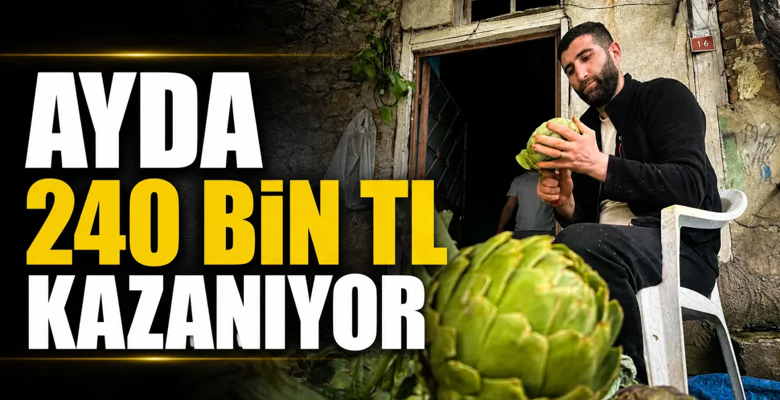 Enginar soyarak ayda en az 240 bin TL kazanıyorlar