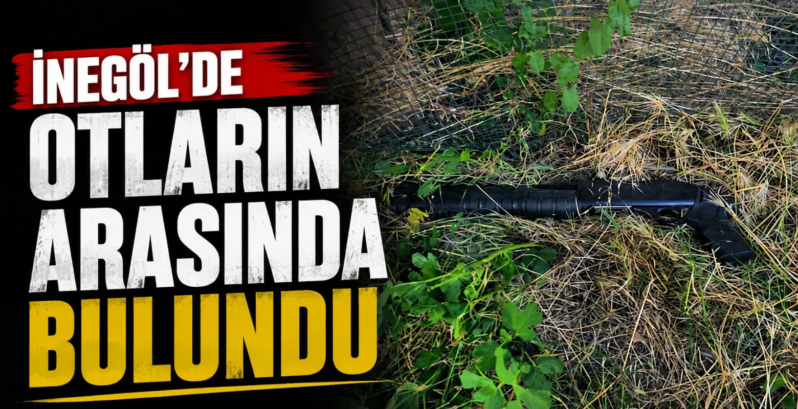 İnegöl'de otların arasında bulundu!
