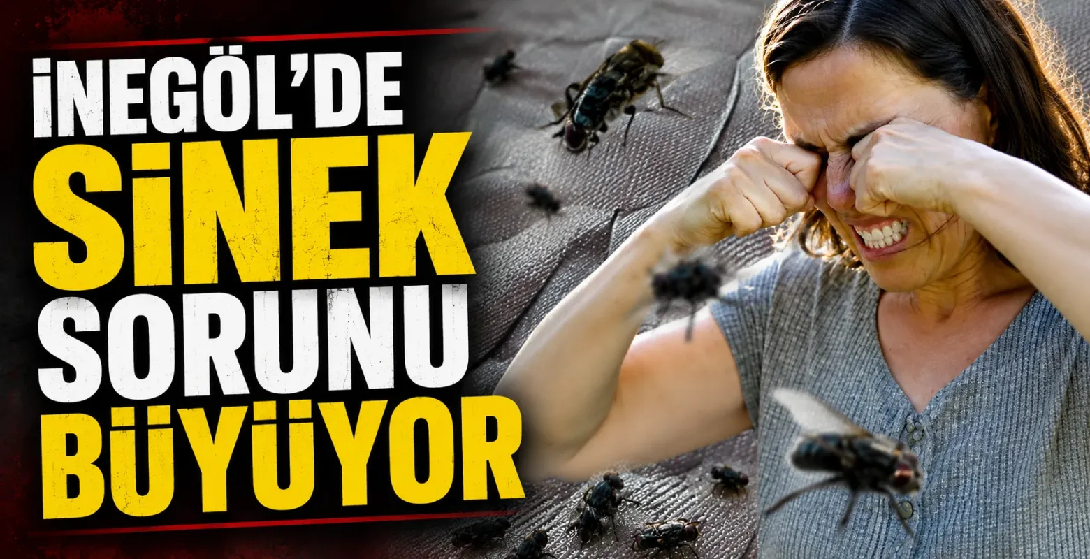 İnegöl’de Sinek Sorunu Büyüyor