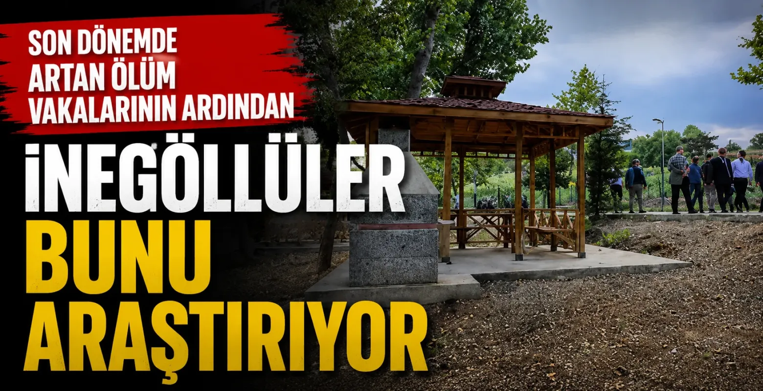 İnegöl’de kene tehlikesi piknik sezonuyla yeniden gündemde