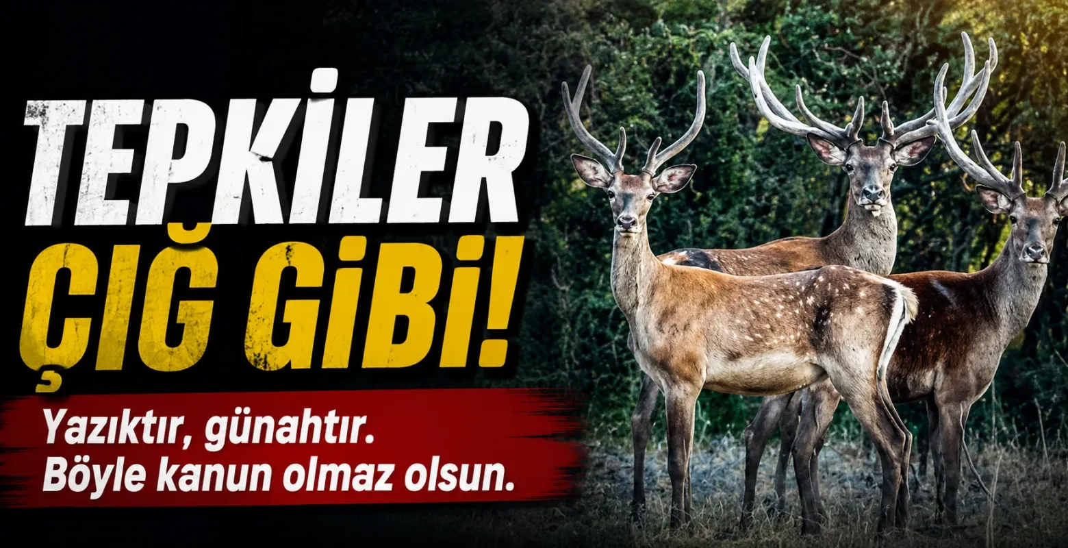 İnegöl’de 225 Bin TL’lik Kızıl Geyik Avı Tepkisi! “Biz Koruduk, Zenginler Vursun Diye Mi?”