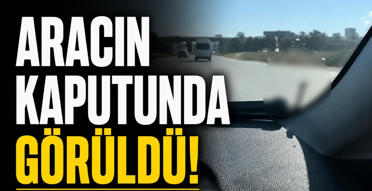 Aracın kaputunda görüldü!