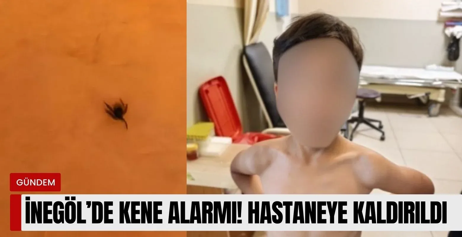 İnegöl'de kene alarmı! Hastaneye kaldırıldı