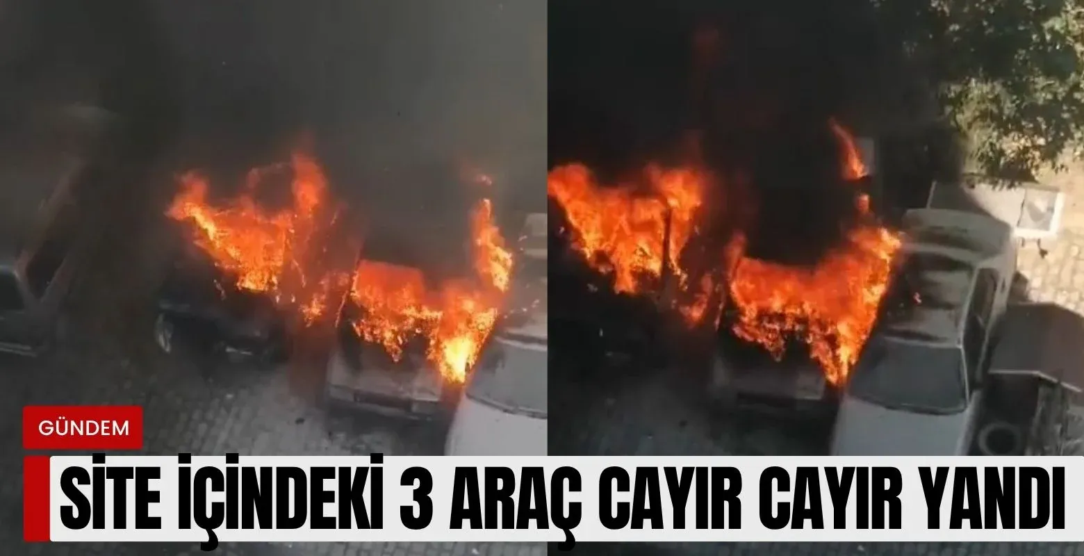 Site içindeki 3 araç cayır cayır yandı