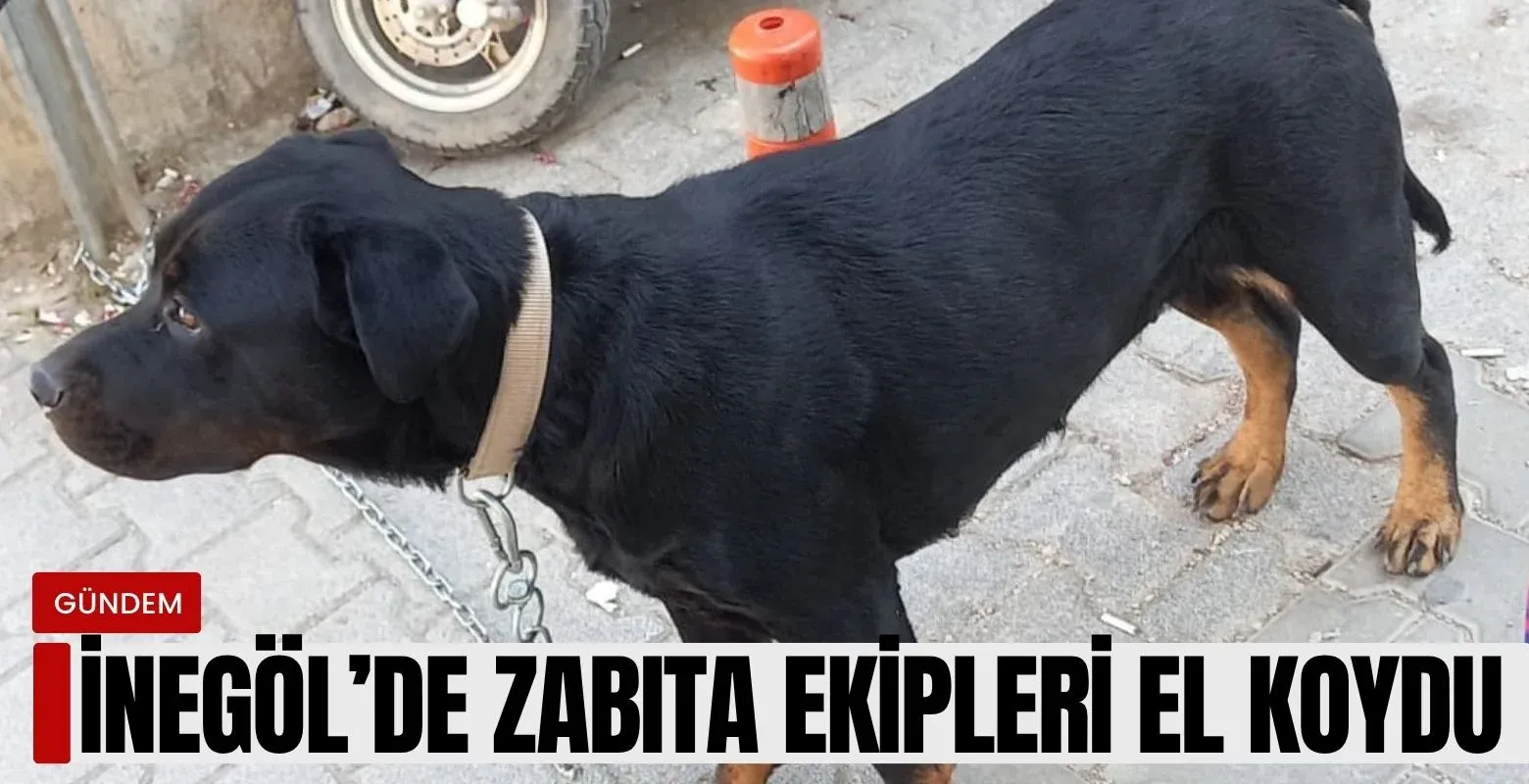 İnegöl'de zabıta ekipleri el koydu