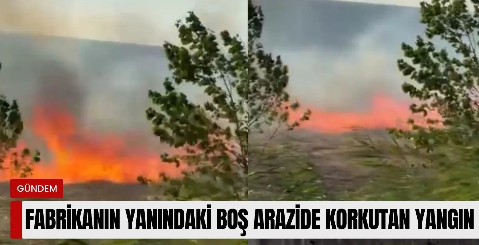 Fabrikanın yanındaki boş arazide korkutan yangın