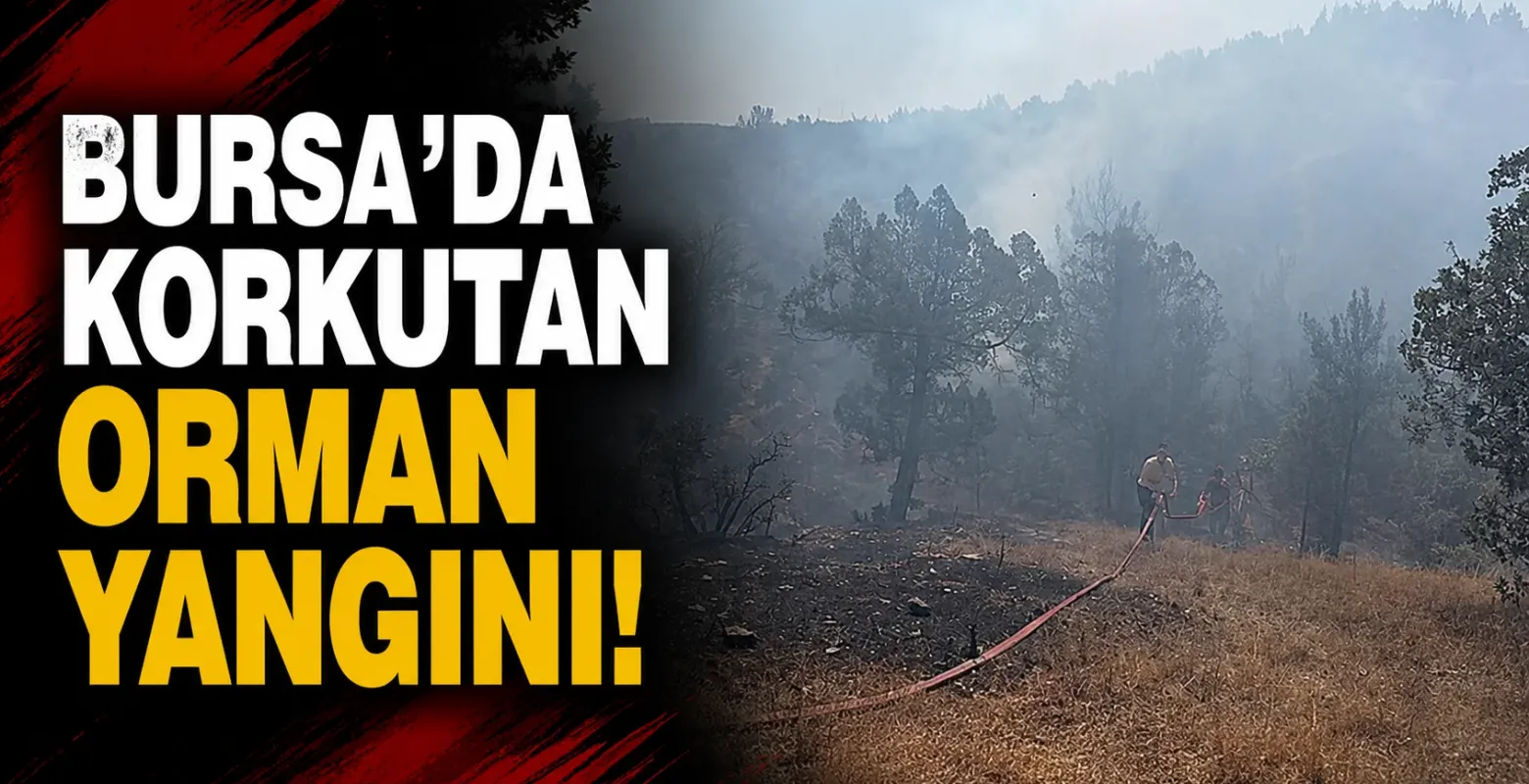Bursa'da korkutan orman yangını!